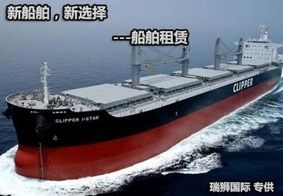 船舶类型与船舶种类 船舶租赁的多元选择与策略解析